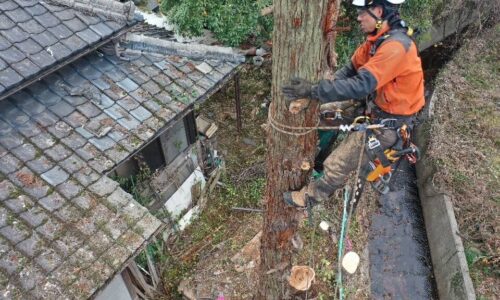 鶴田邸　熊本市北区龍田陳内_210210_1